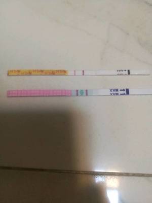 排卵期没戴套