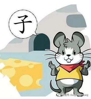 鼠与什么生肖相合
