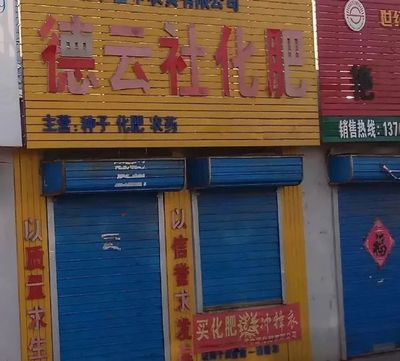 种子商店起名