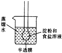 盐水介质法原理