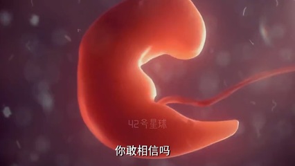 没射进去可能怀孕吗