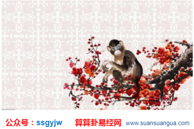 属猴的幸运花