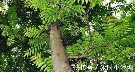 家门口有池塘风水好吗