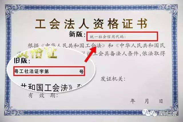 办理法人证需要什么资料