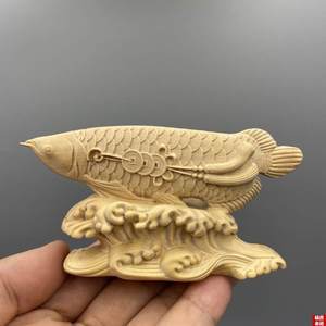 龍魚水霉病的魚怎么治療視頻大全（龍魚水霉病的魚怎么治療視頻大全圖片） 龍魚疾病與治療