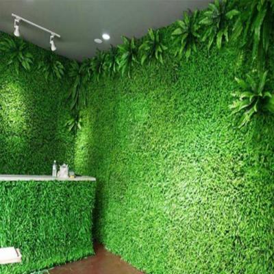 墙面塑料绿植图片大全