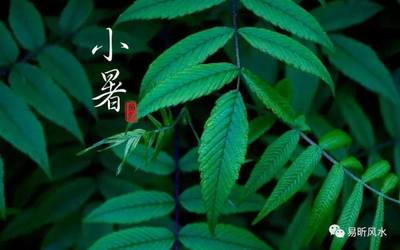 斗指哪个生肖