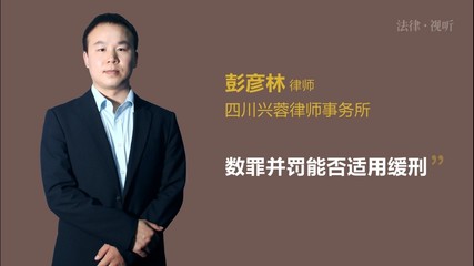 数罪并罚可以缓刑吗