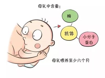 新生儿母乳过敏