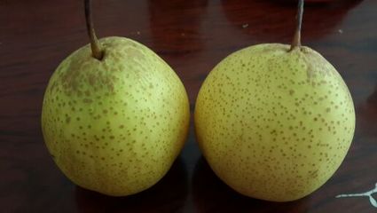 咳嗽 梨
