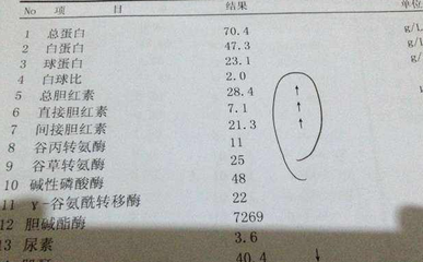 胆红霉素高是怎么回事
