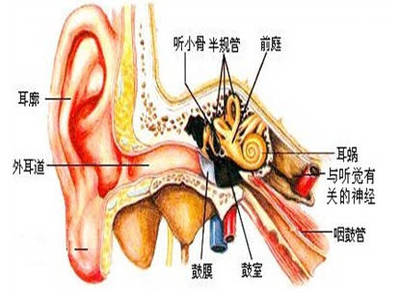 咽鼓管堵塞怎么治疗