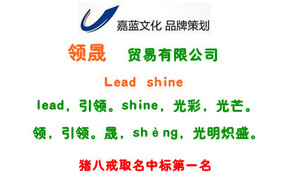 进出口贸易公司起名大全