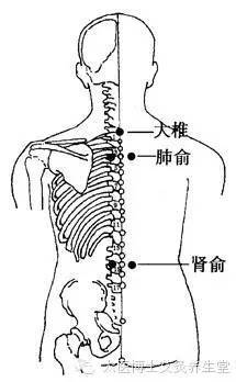 咳嗽艾灸什么穴位