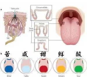 舌头发咸是怎么回事