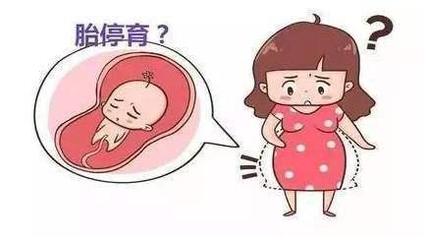 胎儿多久有意识