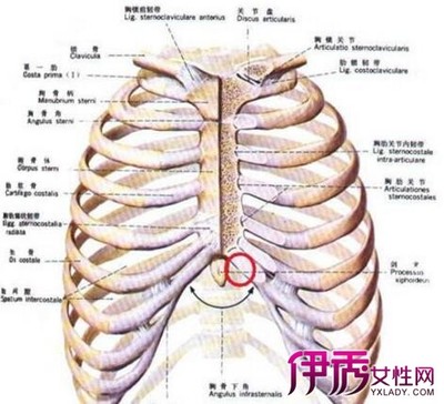 突然心口窝疼是怎么回事