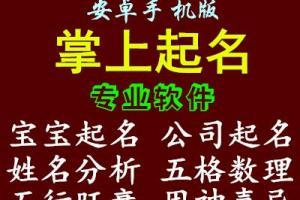 起名测字打分测试