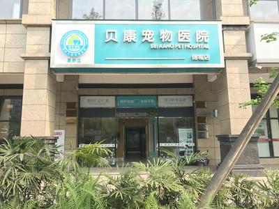 成都华阳怎么样