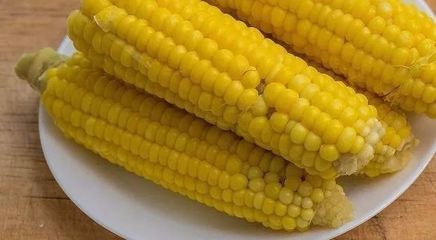 减肥能吃玉米么