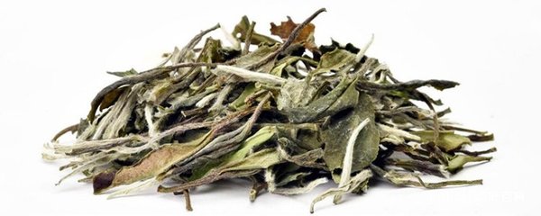 白牡丹白茶