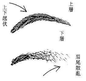从眉毛看面相