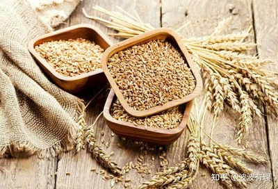 小麦胚芽能减肥吗