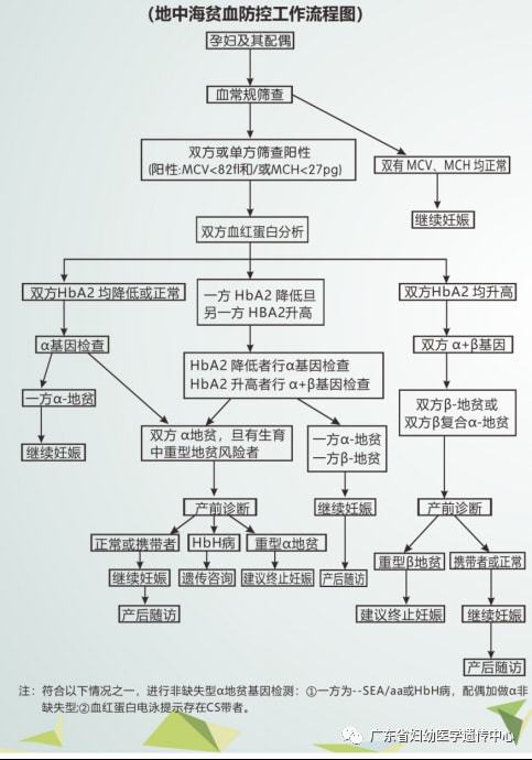 孕妇建档流程