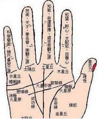 怎样看一个人的运势