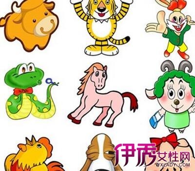 阴肖有哪些生肖