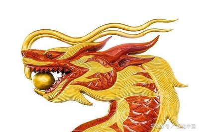 出谋划策的生肖