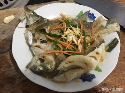 鲈鱼宝宝可以吃吗