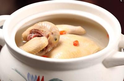 孕妇鸽子汤禁忌