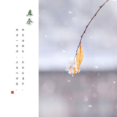 24节气怎么分四季