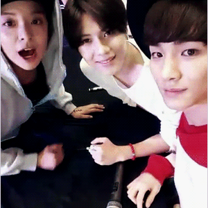 神仙道神十九妹怎么计算战斗力