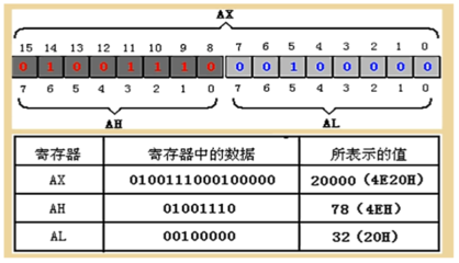 寄存器存储什么不同