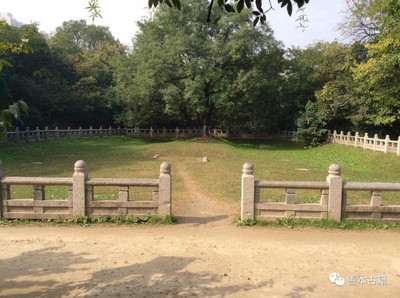 附近那有公园