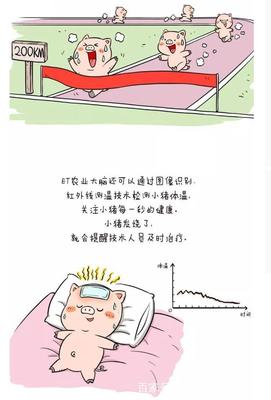 网络大佬是什么意思