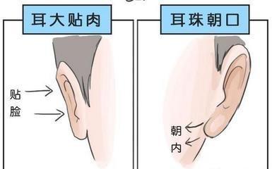 耳朵看面相
