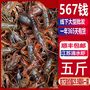 孕妇可以吃青虾吗