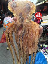 孕妇能吃八爪鱼