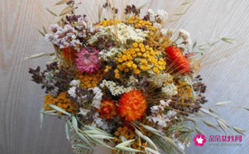 家里放干花好吗