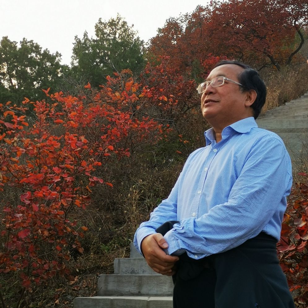 杨在明律师简介