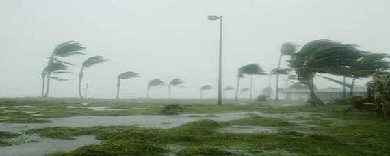 疾风骤雨怎么造句