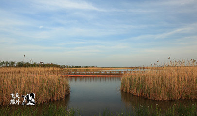 老洪港湿地公园