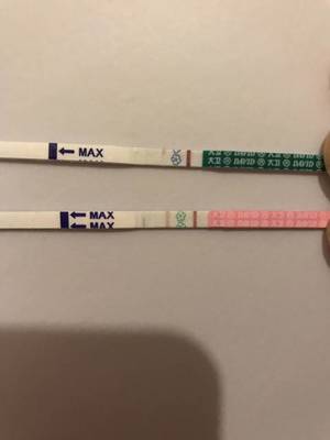 怀孕会不会来白带