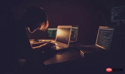 php程序员私活