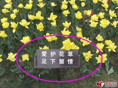 花坛旁边警示牌怎么写