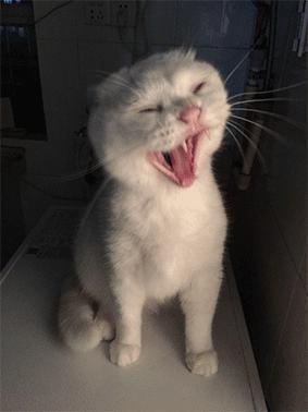 梦见自己在吃屎
