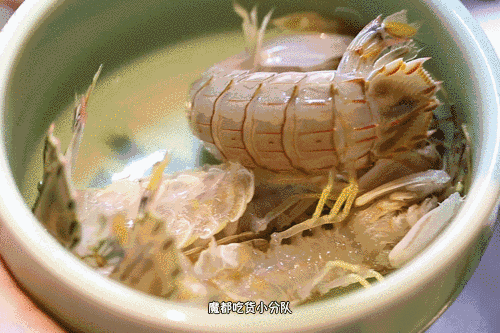 皮皮虾是虾吗